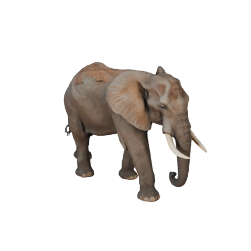 Modèle 3D d'éléphant d'Afrique pour Unity - Actif prêt pour le jeu, FBX