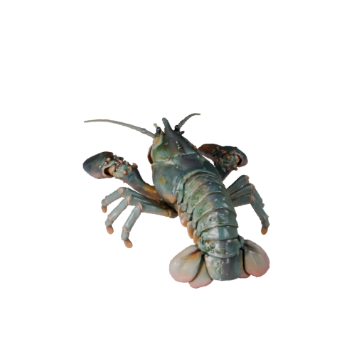Modello 3D di Astice per Blender - Asset PBR con Texture | PBR
