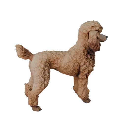Pudelhund 3D Modell für Blender - PBR Asset mit Texturen | PBR