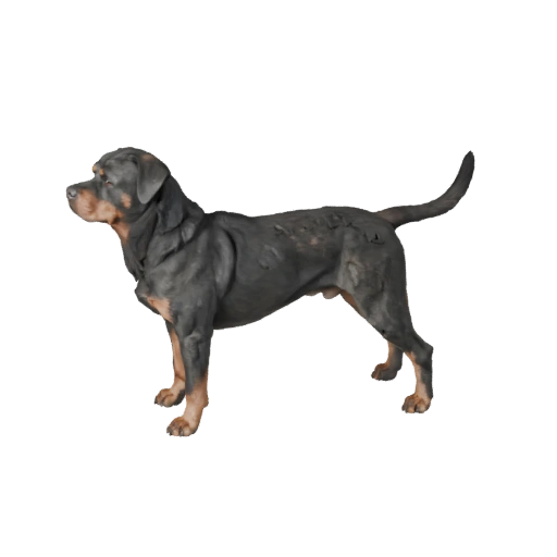 Rottweiler Hund 3D Modell für Unity - Spielfertiges Asset, FBX | PBR