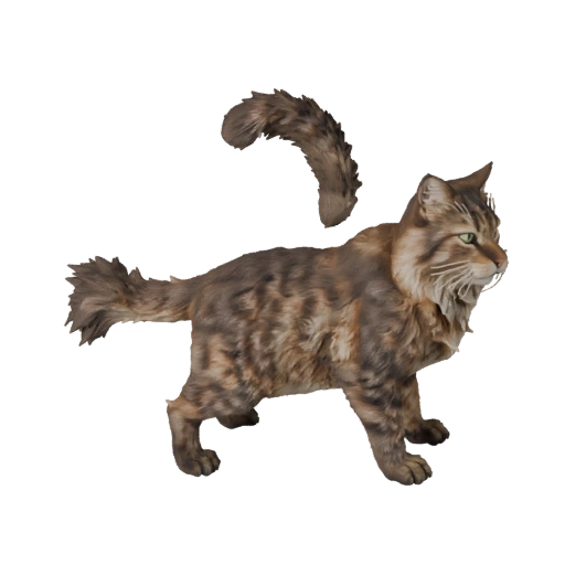 Chat Norvégien 3D pour Unity - Asset prêt pour le jeu, FBX