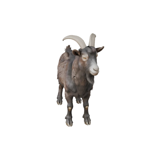 Modello 3D Capra per Unity - Asset Pronto per il Gioco, FBX | Royalty-Free
