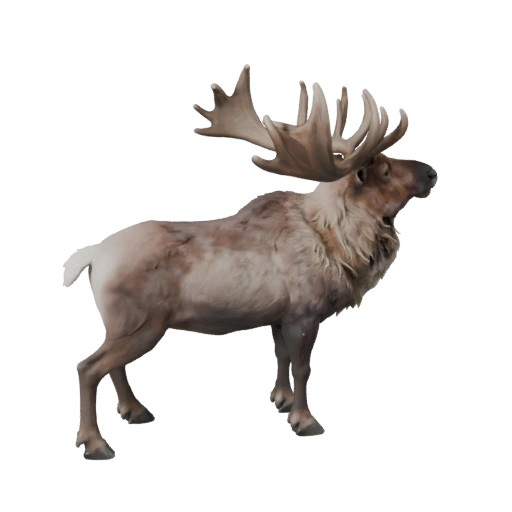 Modèle 3D de Caribou pour Unity - Actif prêt pour le jeu, FBX | Libre de droits