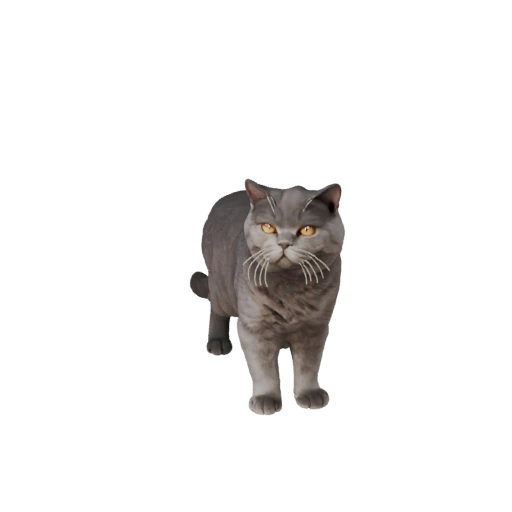 Realistisches Britisch Kurzhaar 3D-Modell - Rigged PBR Asset für Spiele