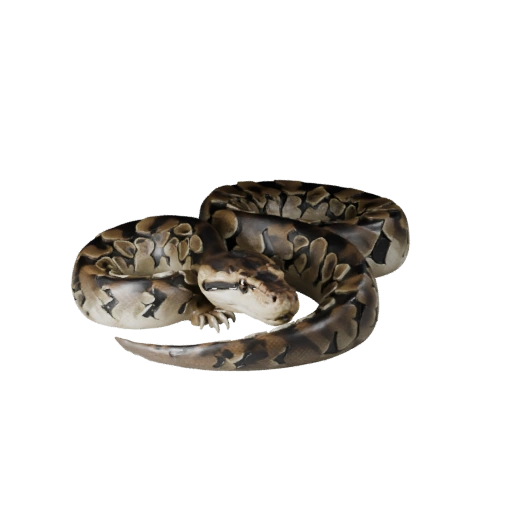 Modèle 3D réaliste de Python réticulé - Asset PBR riggé pour jeux