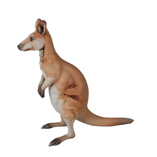 Wallaby 3D Modell für Blender - PBR Asset mit Texturen | PBR