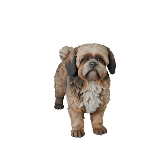 Modèle 3D de chien Shih Tzu pour Blender - Asset PBR avec Textures