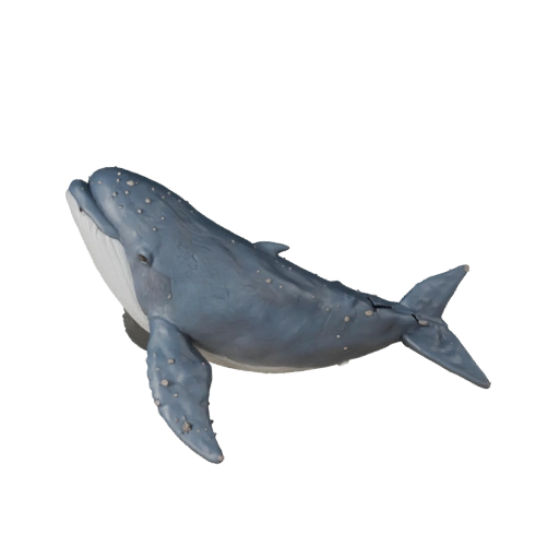 Modelo 3D de Beluga Caricatura - Activo Estilizado para Animación