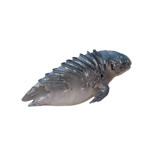 Modelo 3D de Orca para Blender - Asset PBR con Texturas | Libre de Regalías