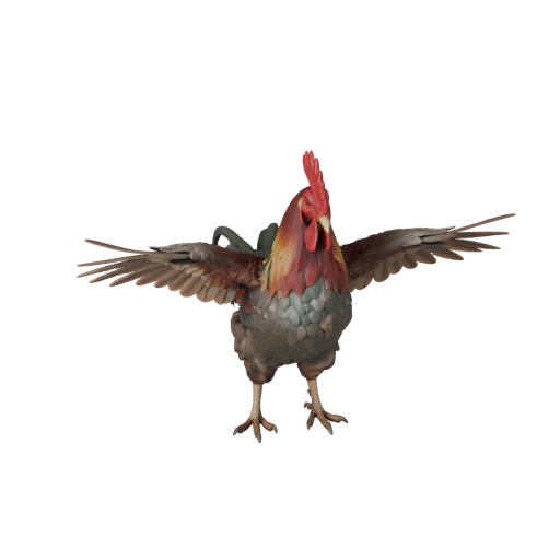 Modelo 3D de Gallo Realista - Asset PBR Rigged para Juegos | PBR