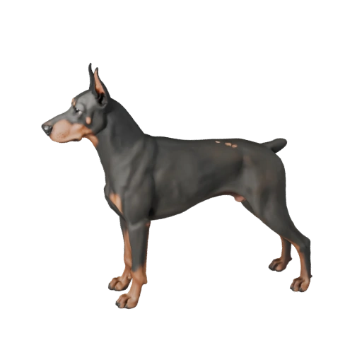 Dobermann Pinscher Hund 3D Modell für Unity - Spielfertiges Asset, FBX