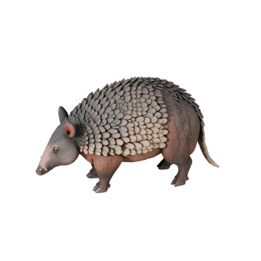 Modèle 3D Tatou Haute Poly - Actif STL Détaillé pour Impression