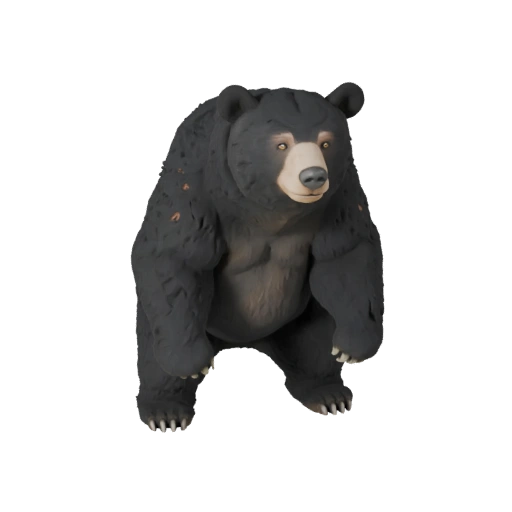 Schwarzbär 3D-Modell für Blender - PBR-Asset mit Texturen | PBR