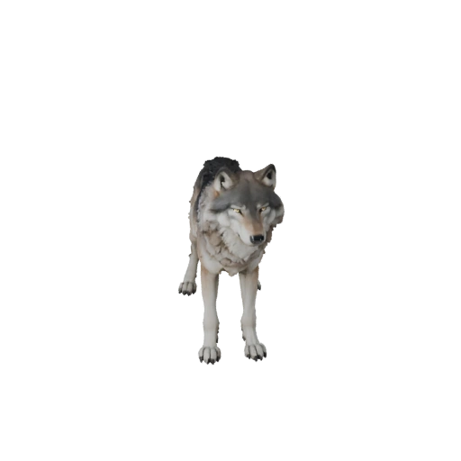 Modelo 3D de Lobo Ártico para Blender - Recurso PBR con Texturas