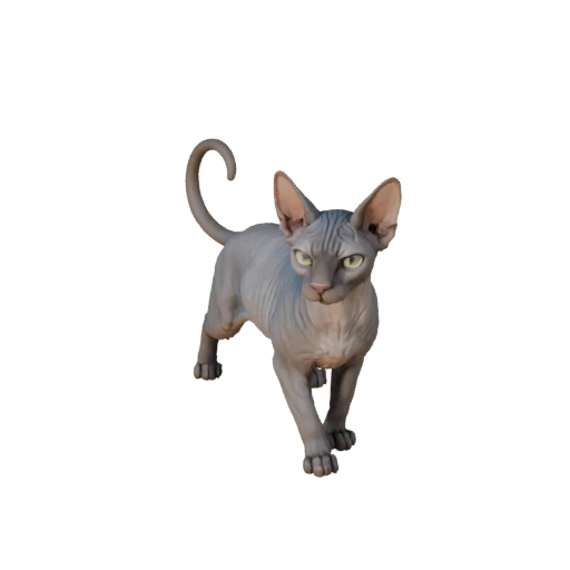 Modelo 3D Gato Esfinge para Unity - Asset Listo para Juego, FBX | Libre de Regalías