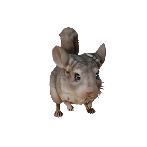 Modelo 3D de Chinchilla Realista - Recurso PBR Rigged para Juegos