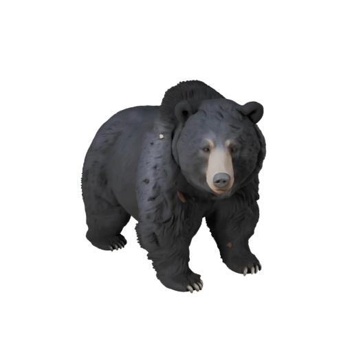 Schwarzbär 3D-Modell für Unity - Spielfertiges Asset, FBX | Lizenzfrei