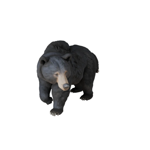 Realistischer Schwarzbär 3D-Modell - Rigged PBR Asset für Spiele