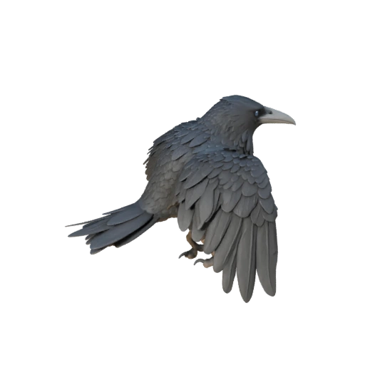 Rabe 3D-Modell für Unity - Spielfertiges Asset, FBX | Lizenzfrei