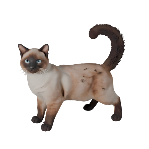 Modèle 3D réaliste de chat birman - Asset PBR riggé pour jeux