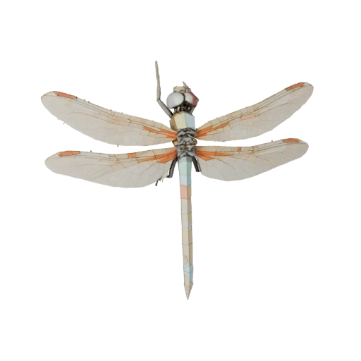 نموذج ثلاثي الأبعاد لـ Dragonfly منخفض المضلع - أصل لعبة Unity مع FBX | PBR