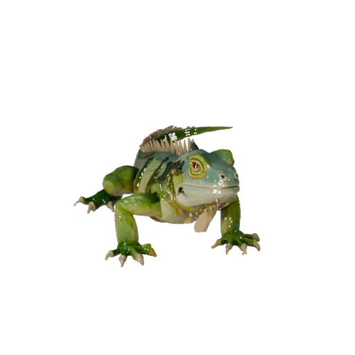Modelo 3D de Iguana Poligonal Bajo - Asset para Unity con FBX | Libre de Regalías