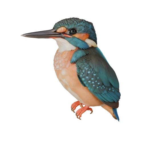 Modèle 3D réaliste de martin-pêcheur - Actif PBR riggé pour jeux