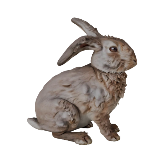 Conejo Realista Modelo 3D - Activo PBR Riggeado para Juegos | PBR