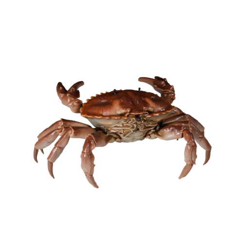 Modèle 3D de Crabe pour Unity - Actif Prêt pour le Jeu, FBX | Libre de Droits