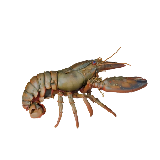 Modello 3D di Astice Realistico - Asset PBR Rigged per Giochi | PBR