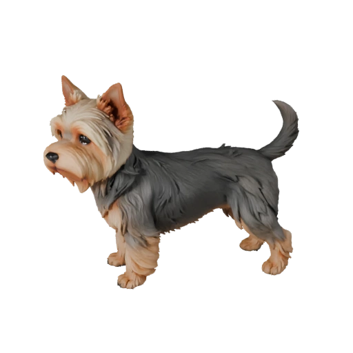 Modèle 3D de Chien Yorkshire Terrier Low Poly - Asset de Jeu Unity avec FBX