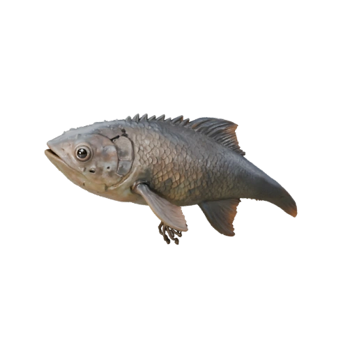 Modelo 3D de Orca para Unity - Asset Listo para Juego, FBX | Libre de Regalías