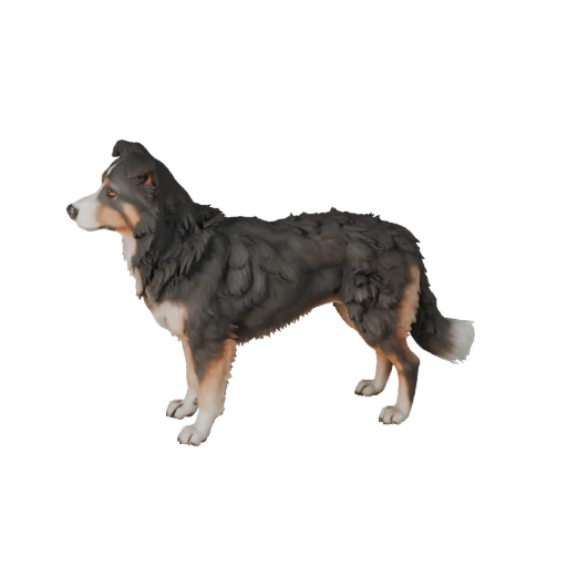 Modelo 3D Realista de Perro Border Collie - Activo PBR Rigged para Juegos