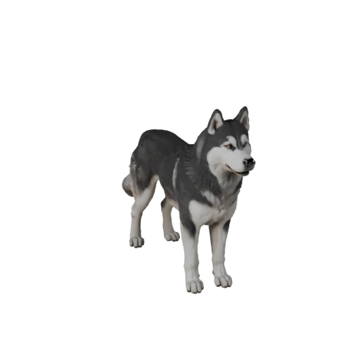 Modèle 3D de Chien Husky Sibérien pour Blender - Asset PBR avec Textures