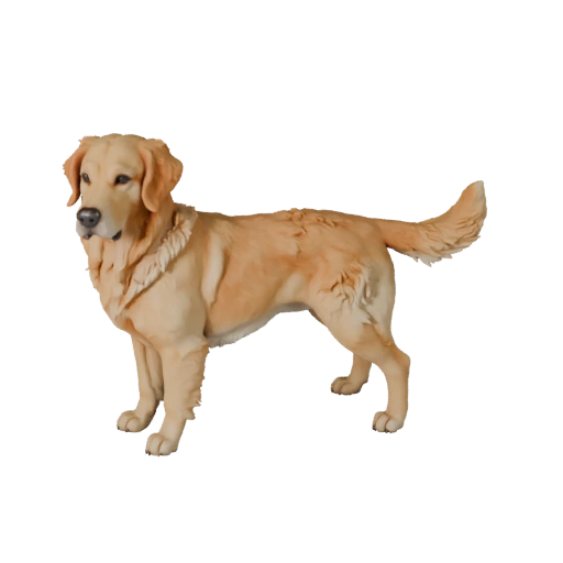 Goldener Retriever Hund 3D Modell für Blender - PBR Asset mit Texturen