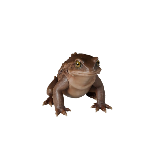 Modèle 3D de Salamandre Réaliste - Atout PBR Riggué pour Jeux