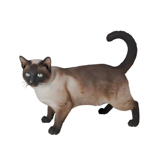 Siamesische Katze 3D-Modell für Unity - Spielfertiges Asset, FBX | PBR