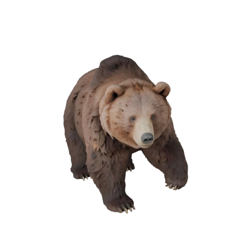 Brauner Bär 3D Modell für Blender - PBR Asset mit Texturen | PBR