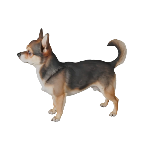 Modèle 3D de Chien Chihuahua Réaliste - Asset PBR Riggué pour Jeux