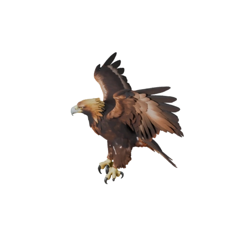 Modelo 3D Realista de Águila Real - Activo PBR Rigged para Juegos
