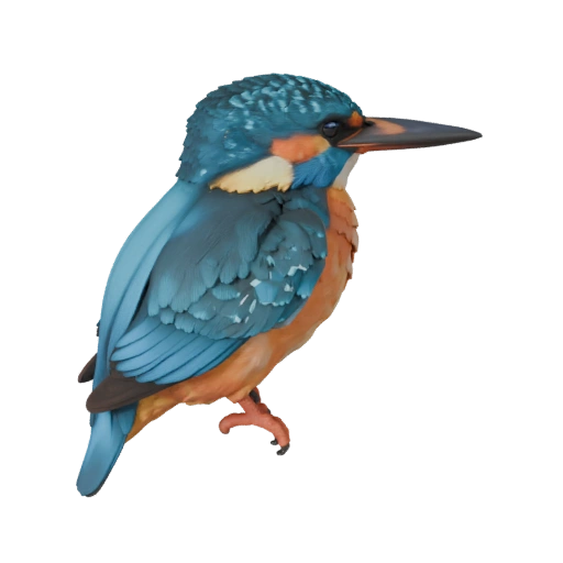 Modèle 3D de Martin-Pêcheur pour Unity - Actif prêt pour le jeu, FBX | Libre de droits