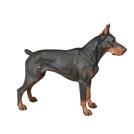 Realistischer Dobermann Pinscher Hund 3D Modell - PBR Asset für | PBR