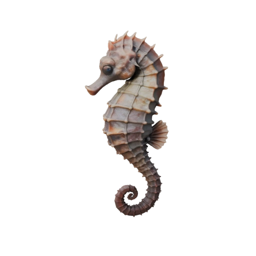 Modèle 3D Hippocampe pour Unity - Actif prêt pour le jeu, FBX | Libre de droits