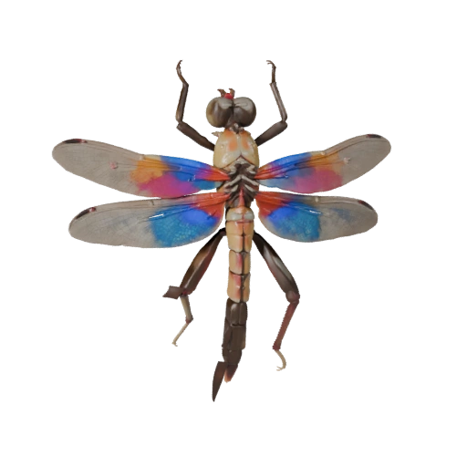 نموذج ثلاثي الأبعاد لـ Dragonfly واقعي - أصل PBR مجهز للألعاب | PBR
