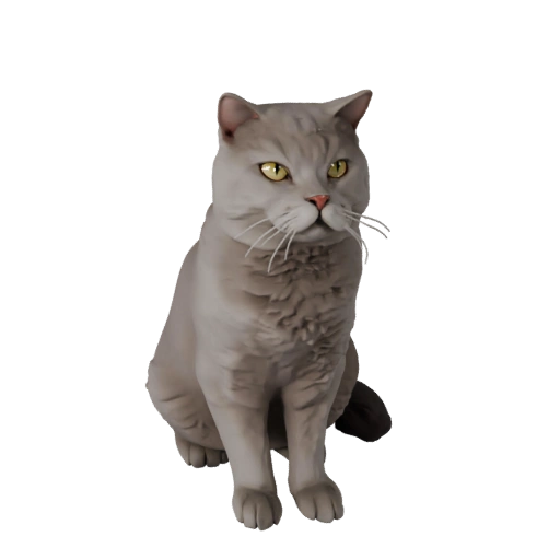 Britisch Kurzhaar 3D-Modell für Blender - PBR-Asset mit Texturen