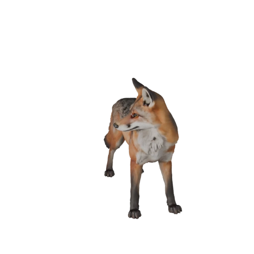 Modelo 3D Realista de Raposa Cinzenta - Asset PBR Rigged para Jogos | PBR