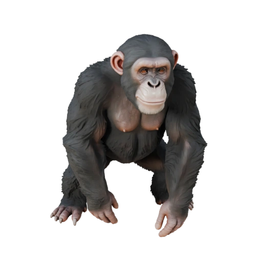 Realistischer Schimpanse 3D-Modell - Rigged PBR Asset für Spiele