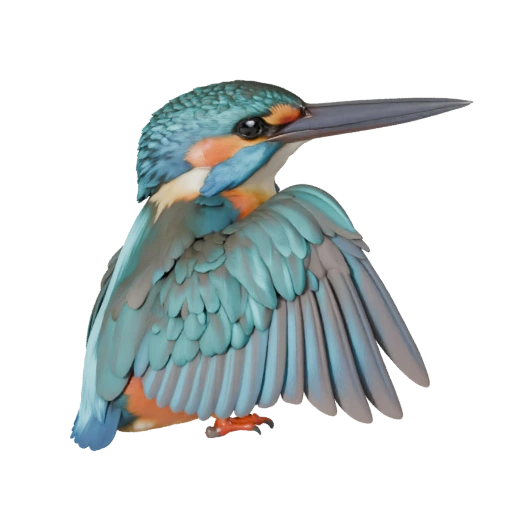 Modèle 3D Martin-pêcheur pour Blender - Asset PBR avec Textures | PBR