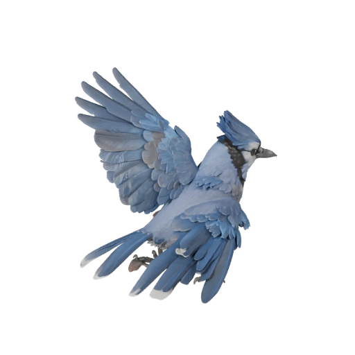 Blauer Jay 3D Modell für Unity - Spielfertiges Asset, FBX | Lizenzfrei