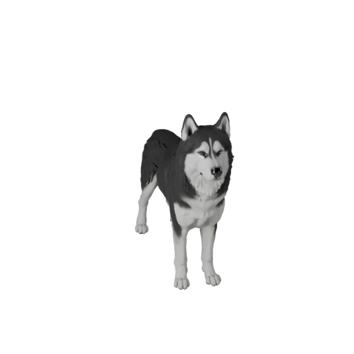 Modèle 3D réaliste de chien husky sibérien - Actif PBR riggé pour jeux